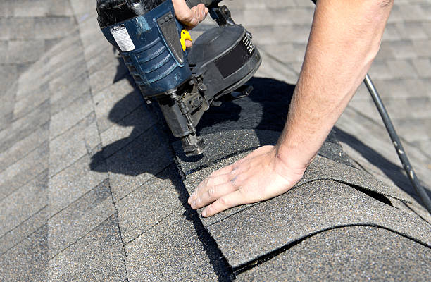 Best Roof Leak Repair  in Falfurrias, TX